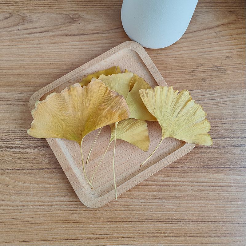 Natural Ginkgo Biloba Dried Le – обзор и цена Soap Making Home